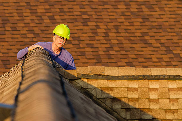 Best Roof Maintenance Services  in Rockford, MI